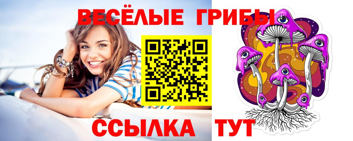 Галлюциногенные грибы мухоморы  продажа наркотиков  Псилоцибиновые грибы Cubensis  Владикавказ  Вход с VPN 